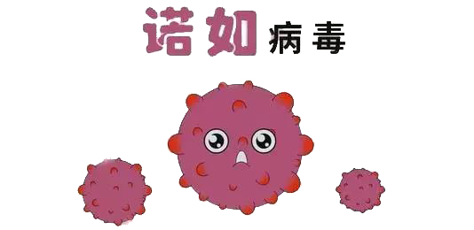1634693409437022566.png 1634693409437022566.png