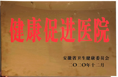 2020年度健康促进医院_副本.jpg