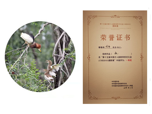 微信图片_20190718084924_副本.jpg